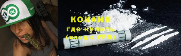 прущая мука Каменка