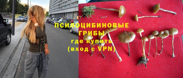 мдпв Алзамай