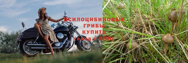 марихуана Киренск