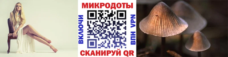 Галлюциногенные грибы Psilocybine cubensis  хочу   Уяр 